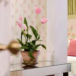 Szálloda Casa De Sao Mamede Lisboa